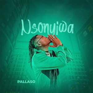 Listen to Nsonyiwa song with lyrics from Pallaso