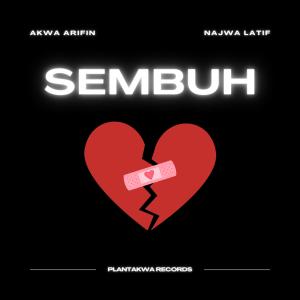 收聽Akwa Arifin的Sembuh (feat. Najwa Latif)歌詞歌曲