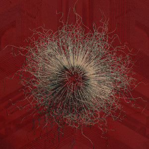 ดาวน์โหลดและฟังเพลง Into Nothing (Live in 2020) พร้อมเนื้อเพลงจาก Bleed From Within