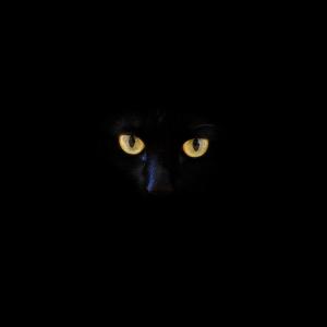 Lionel No Richie的專輯Holiday Mix (feat. Roy Ayers & Terri Wells)
