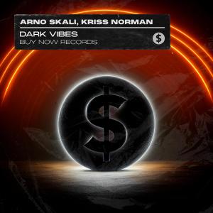 Album Dark Vibes from Kriss Norman