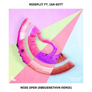 RØGUENETHVN的专辑Wide Open (feat. Ian Gott) [RØGUENETHVN Remix]