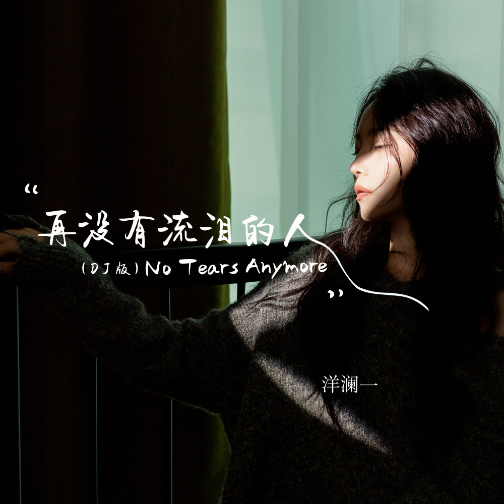 再没有流泪的人 (DJBanan版)