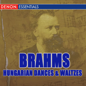收聽Karin Lechner的Waltz for Piano No. 10 in G Major, Op. 39歌詞歌曲