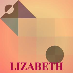 Various Artists的專輯Lizabeth