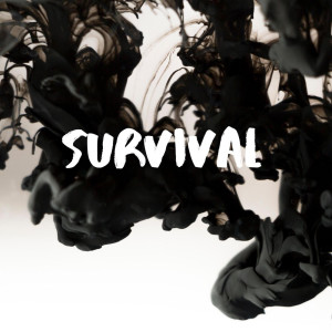 收听Fade Dresto的Survival (Explicit)歌词歌曲