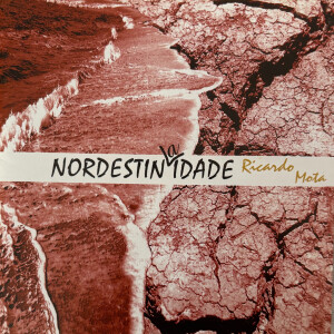 收聽Ricardo Mota的Passarinha歌詞歌曲