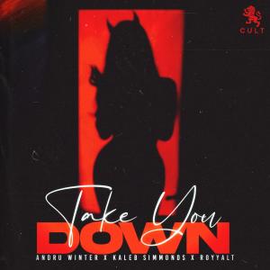 ดาวน์โหลดและฟังเพลง Take You Down (feat. RoyyalT) (Explicit) พร้อมเนื้อเพลงจาก Andru Winter