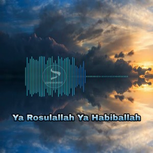 Listen to Ya Rosulallah Ya Habiballah (Sholawat Remix) song with lyrics from VEYO IDEA PROJECT