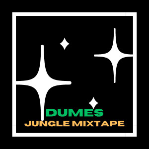 Album Dumes Jungle Mixtape oleh DJ GAPURO