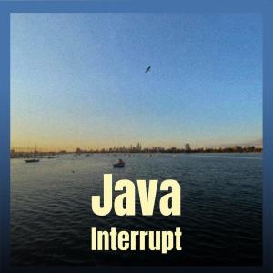 ดาวน์โหลดและฟังเพลง Java Interrupt พร้อมเนื้อเพลงจาก Ston Fuan