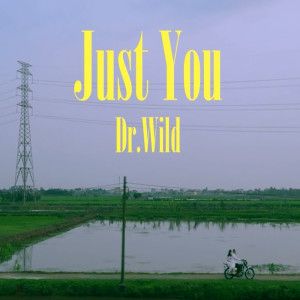 Dr.Wild的專輯Just You