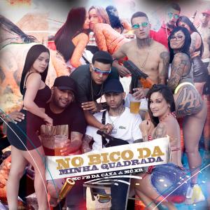 Dengarkan No Bico Da Minha Quadrada (Explicit) lagu dari DJ Grzs dengan lirik