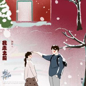 Album Wo Zou Zhi Qian oleh 魏新人