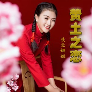 陝北娜姐的專輯黃土之戀（DJ版）