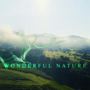 Listen to Wonderful Nature song with lyrics from Harmony Dreams