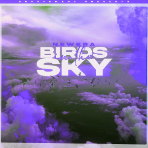 อัลบัม Birds In The Sky (Tays & Charva Boys Remix) ศิลปิน Newera