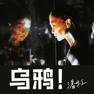 อัลบัม 乌鸦 ศิลปิน 潘虹
