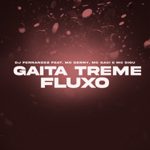 Listen to Gaita Treme Fluxo (Explicit) song with lyrics from Dj Fernandez