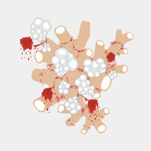 Dengarkan This Shameless Moment lagu dari Saxon Shore dengan lirik