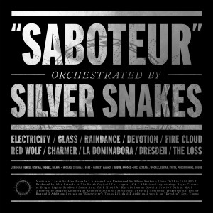 ดาวน์โหลดและฟังเพลง Raindance พร้อมเนื้อเพลงจาก Silver Snakes