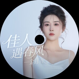 Album 佳人遇春风 from 金钰儿