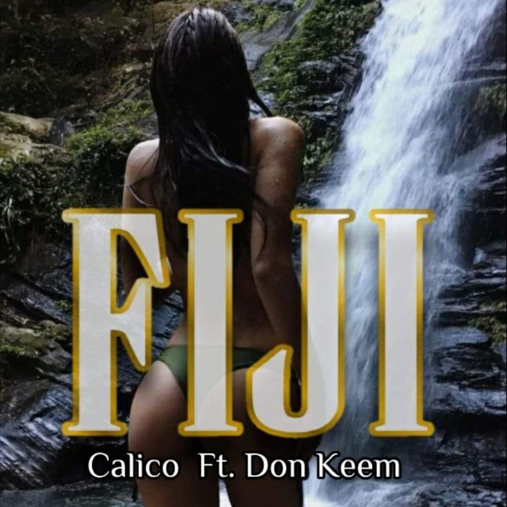 Fiji (feat. Don Keem) (Explicit)