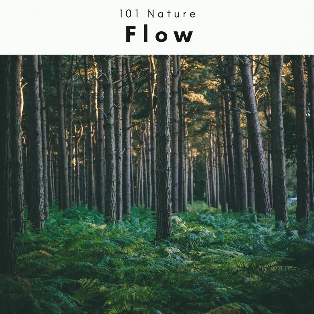 Journey of Soothing Vibes