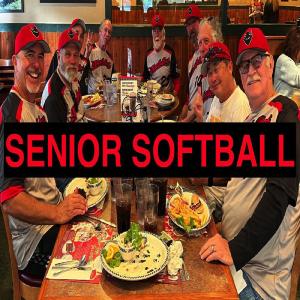 ดาวน์โหลดและฟังเพลง Senior Softball พร้อมเนื้อเพลงจาก Steve Shapiro