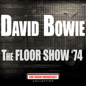 收聽David Bowie的I Can't Explain (Live)歌詞歌曲