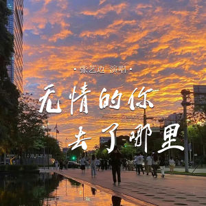 张艺迈的专辑无情的你去了哪里