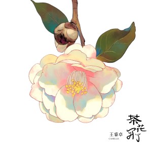 收听王睿卓的茶花开了 (完整版)歌词歌曲