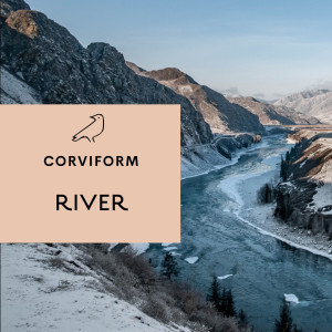 收听Corviform的River歌词歌曲
