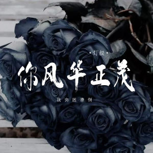 Album 你风华正茂 (我穷困潦倒) from 灯叔