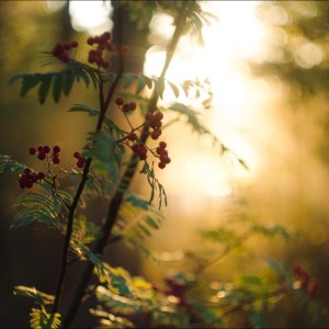 ดาวน์โหลดและฟังเพลง Folding พร้อมเนื้อเพลงจาก Asian Zen: Spa Music Meditation