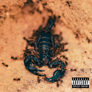 收聽Dirtyblood的Disturb (Explicit)歌詞歌曲