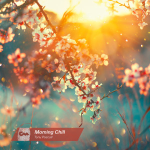 ดาวน์โหลดและฟังเพลง Morning Chill พร้อมเนื้อเพลงจาก Tony Pascall