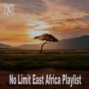 Various Artists的專輯No Limit Africa Playlist (Explicit)