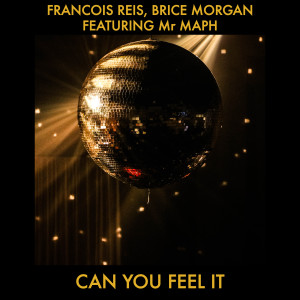 Listen to Can You Feel It (Paolo Barbato Edit) song with lyrics from Francois Reis