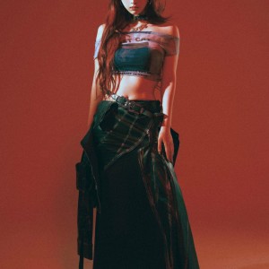 Blair Wang ดาวน์โหลดและฟังเพลงฮิตจาก Blair Wang
