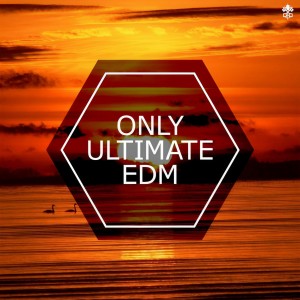 Album Only Ultimate EDM oleh LOCH