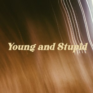 Vlad Holiday的專輯Young and Stupid