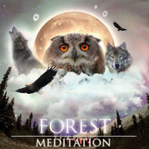 收聽Peace Love Unity Respect的Forest Retreat歌詞歌曲