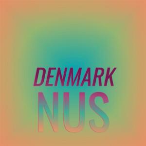 Album Denmark Nus from Various