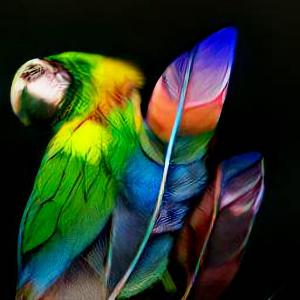 default playlist img