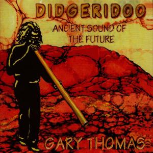 ดาวน์โหลดและฟังเพลง Stillness พร้อมเนื้อเพลงจาก Gary Thomas