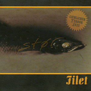 ดาวน์โหลดและฟังเพลง Tonmusik พร้อมเนื้อเพลงจาก Stör