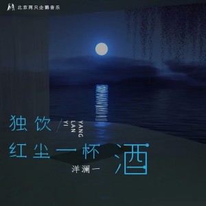 Album 独饮红尘一杯酒（DJ何友版） oleh 洋澜一