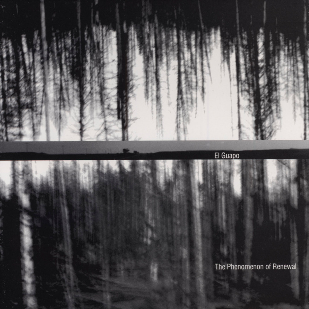 Shannon Whirry
