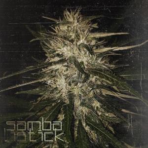 Sambalist!ck的專輯Kozman dann tant (Explicit)